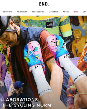The landing page for the END Website (April, 2023)