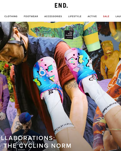 The landing page for the END Website (April, 2023)