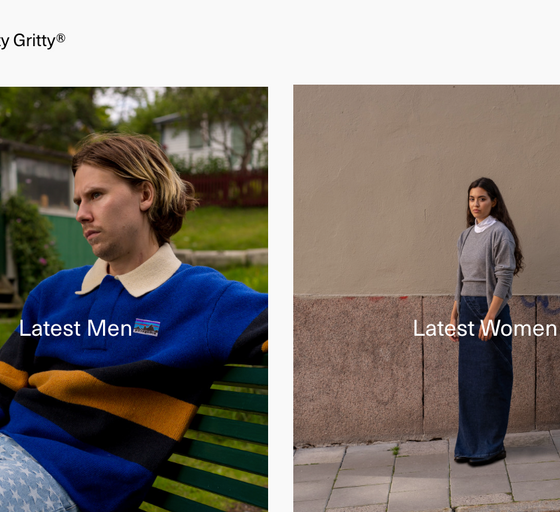 The landing page for Nitty Gritty website (September, 2023)