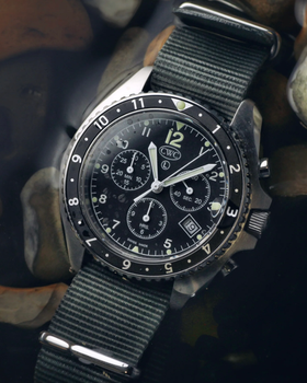 A close-up image of Cabot sea falcon watch