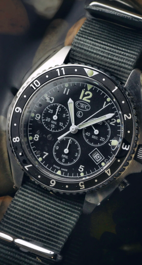 A close-up image of Cabot sea falcon watch