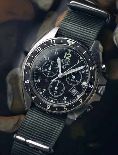 A close-up image of Cabot sea falcon watch