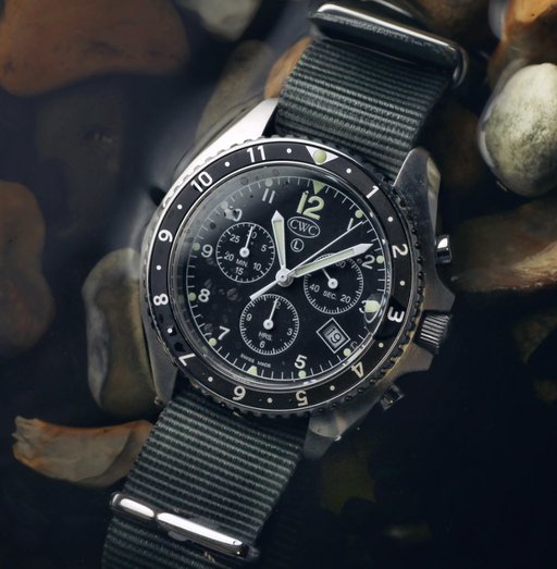 A close-up image of Cabot sea falcon watch