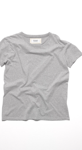 An image of team premium t-shirt — grey melange by Spalwart