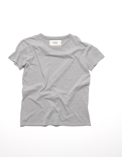 An image of team premium t-shirt — grey melange by Spalwart
