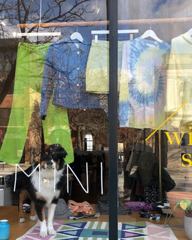 An inside look of Gemini brand store