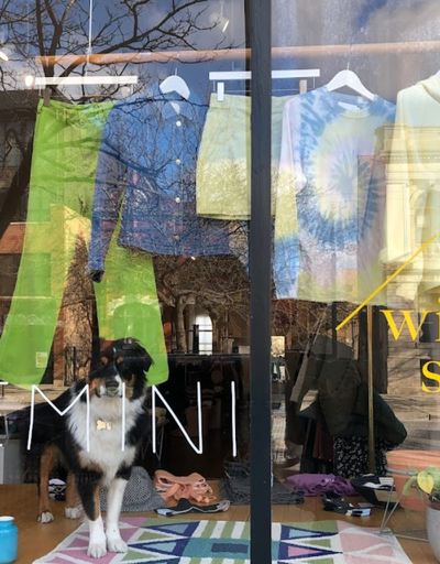 An inside look of Gemini brand store