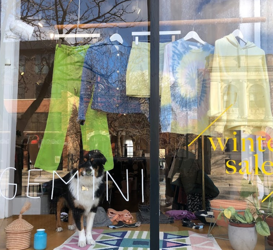 An inside look of Gemini brand store
