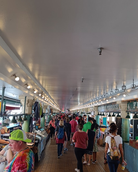 An inside look of Zebra Club brand store