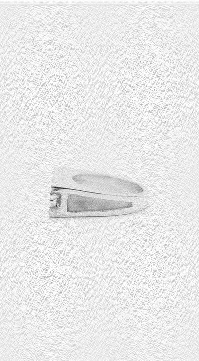 An image of Pearls Before Swine teuf signet ring