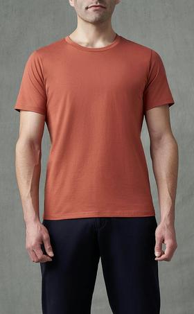 A man wearing Spier & McKay terracotta - 2-ply cotton crewneck t-shirt