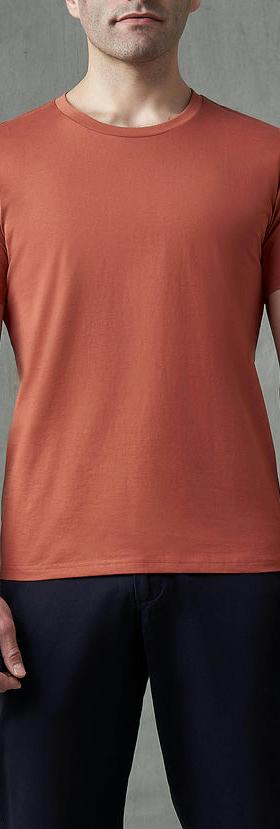 A man wearing Spier & McKay terracotta - 2-ply cotton crewneck t-shirt