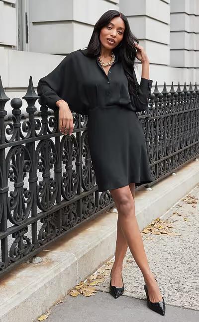 A woman wearing Express collared half button up mini portofino shirt dress