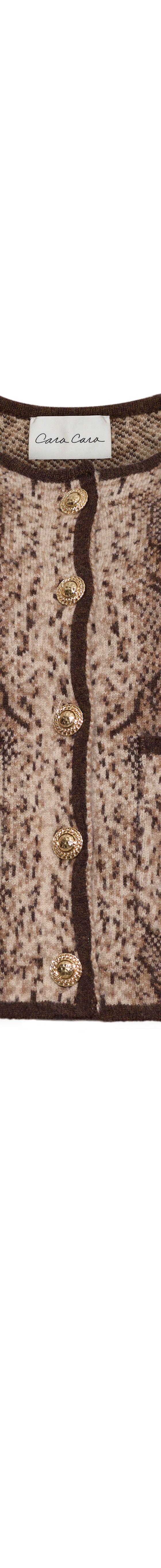 A brown snake-print cropped knit jacket with gold buttons and contrast trim